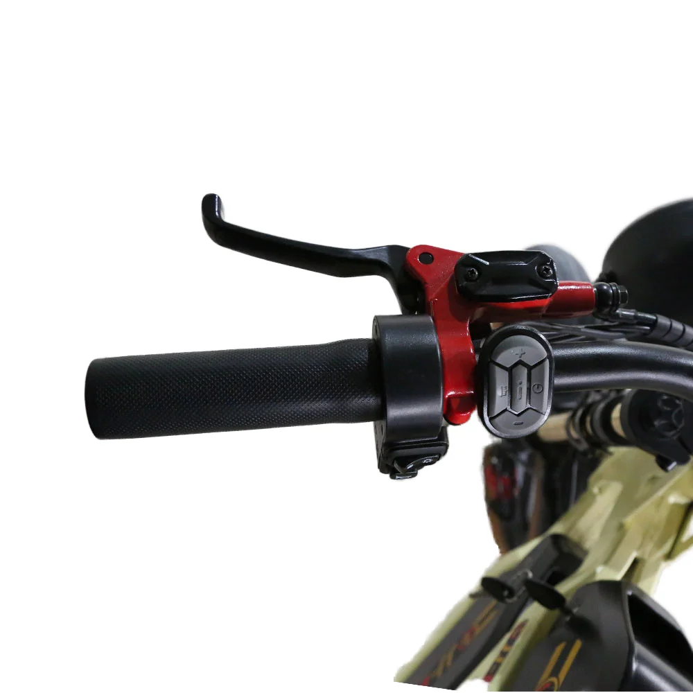 Dual Battery Electric Bicycle 48v Lithium Off-Road Cargo City Riding Aluminum Alloy Frame 7 Speed Rear Hub Motor