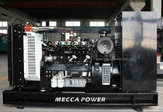 Small Portable Natural Gas Gasoline Generator Home/House Backup Generators 30KW 50KW