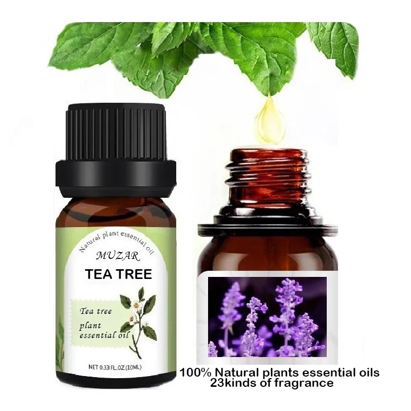 Hot selling Private Label 10ml Pure and Natural a variety of high-quality organic plant aromatherapy essential oils