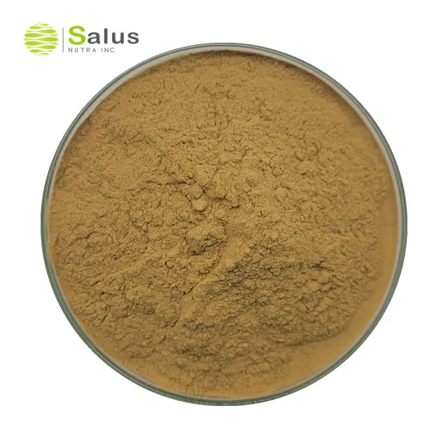 Factory Wholesale Huperzia Serrata Extract 1% 98% Huperzine