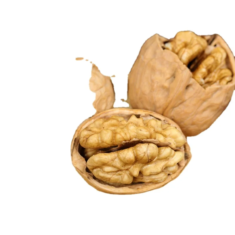 Wholesale Large Size High Quality and Cheap Walnut and Walnut kernels from Xinjiang