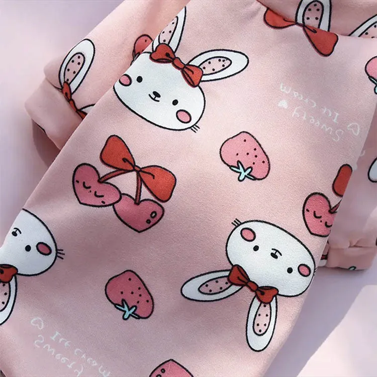 Luxury Designer Winter Warm Fleece Lined Small Big Pet Apparel Wholesale Manufacturer Custom Sweater Vest Cartoon Dog Clothes