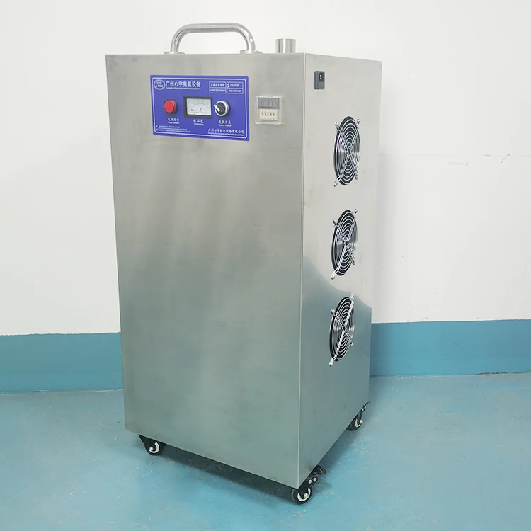 20G output stainless steel portable ozone air sterilizer factory workshop use air purifier Air Source Ozone Generator