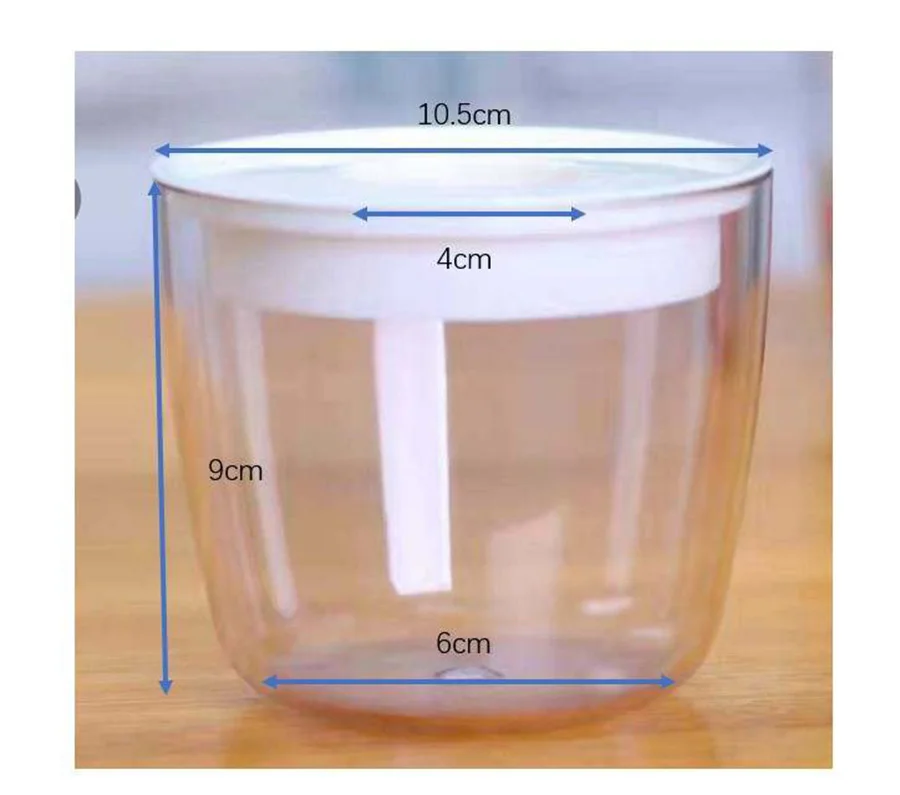 2022 New Design Small Orchid Flower Self Watering Plant Pot Home Decor Plastic Transparent Base Hydroponic Gardening Pot