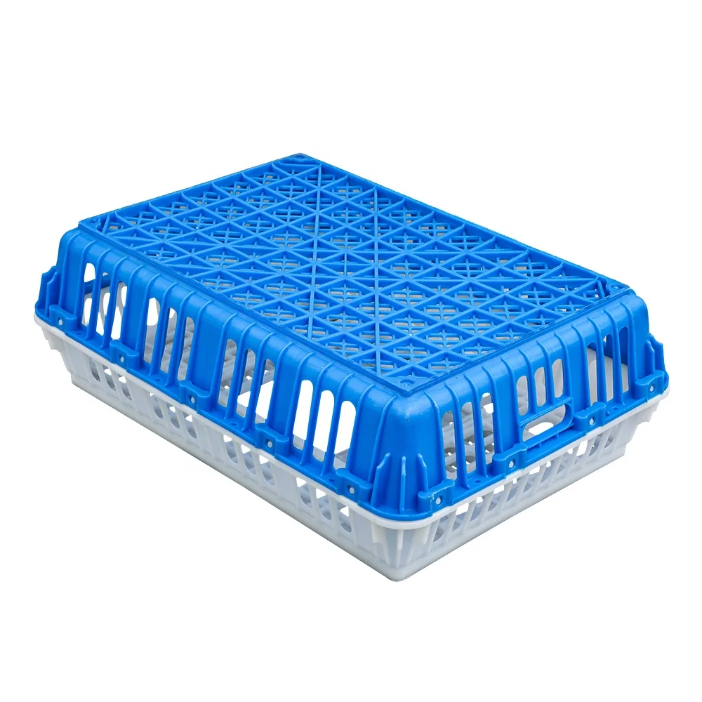 China manufacturer supply big capacity sturdy open top door Plastic live chicken transport crate / cage