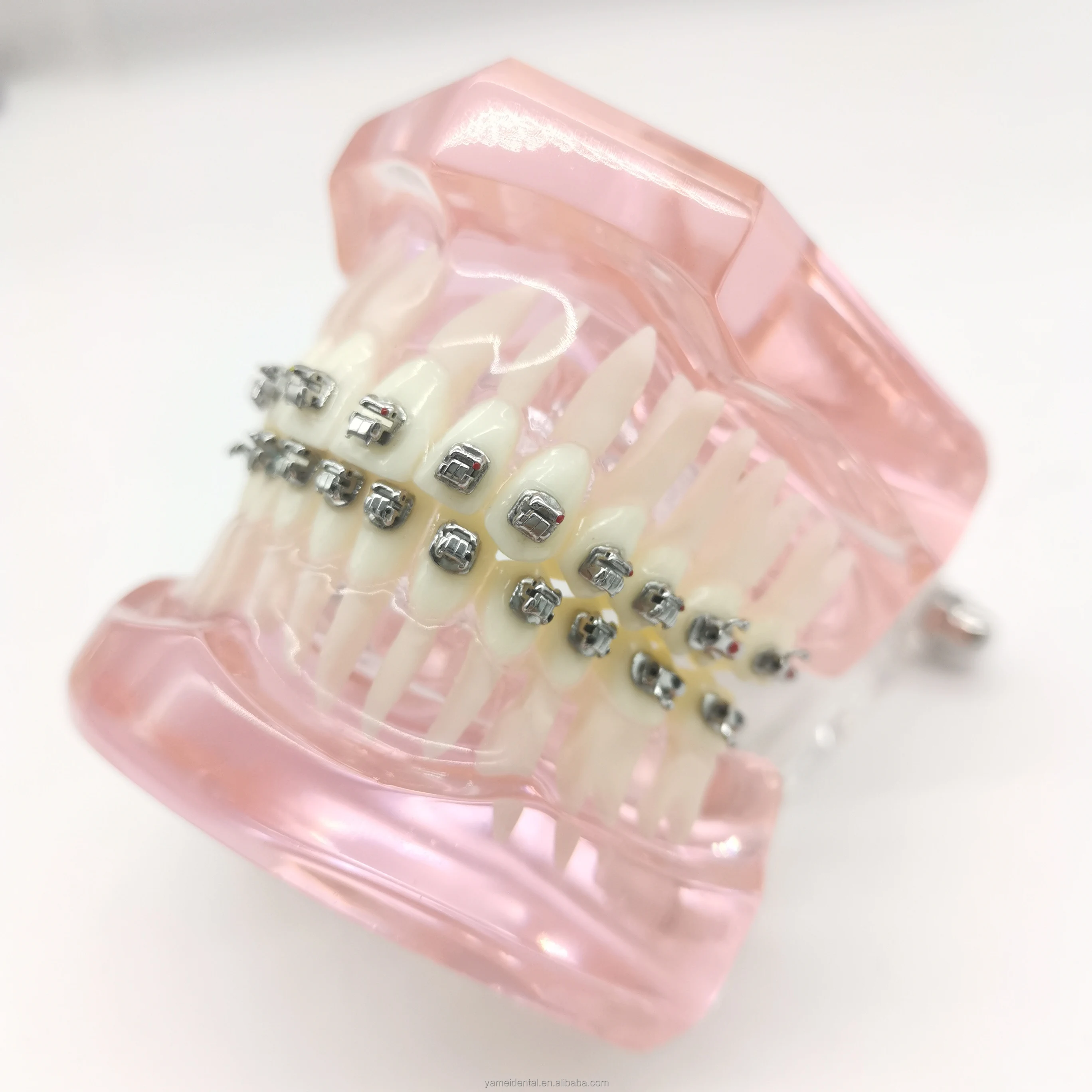 Yamei Orthodontic Dental Product Standard Dental Bracket Braces Orthodontic Metal Plastic Box CE Youcera Dental Milling Machine