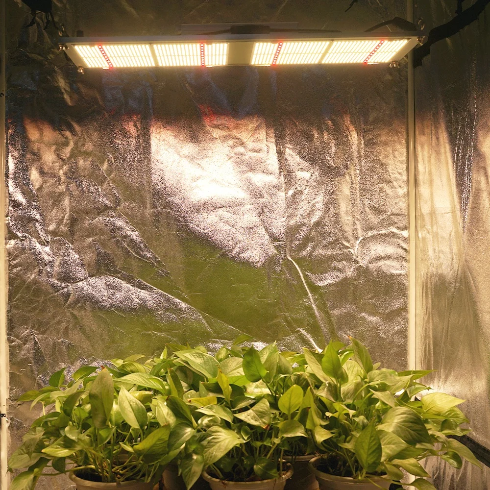 Wholesale Full Spectrum Led Plant Grow Light 120w/240w/320w with meanwell driver Led Grow Light Samsung Lm301h