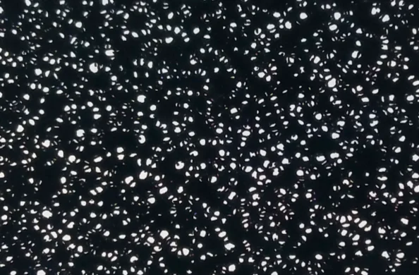 Different Style Open Cell Carbon Metallic Foam C