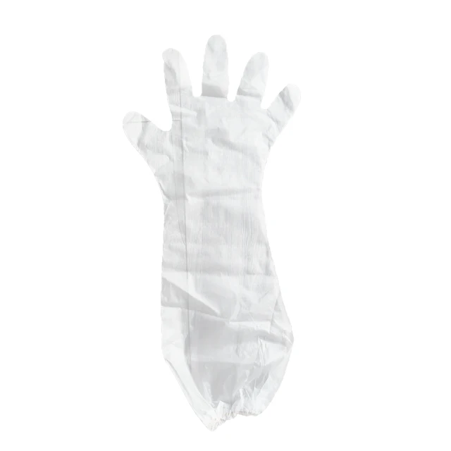 Food Safe Disposable  Plastic CPE Rubber Band Embossed Surface Household Long gloves elastic