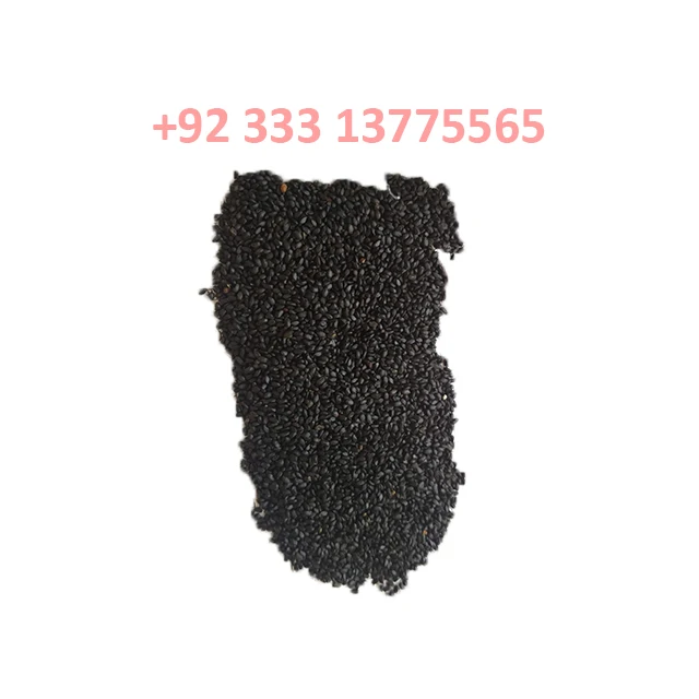 
Basil Seeds / Tukmariya / Tukhm-e-Rehan 