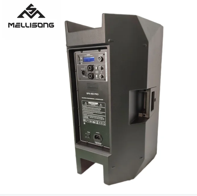 Hot Sell Customized Professional Powered PA Active Speakers FPE15AD-BT with DSP and bluetooth for Outdoor Use Musicians DJs