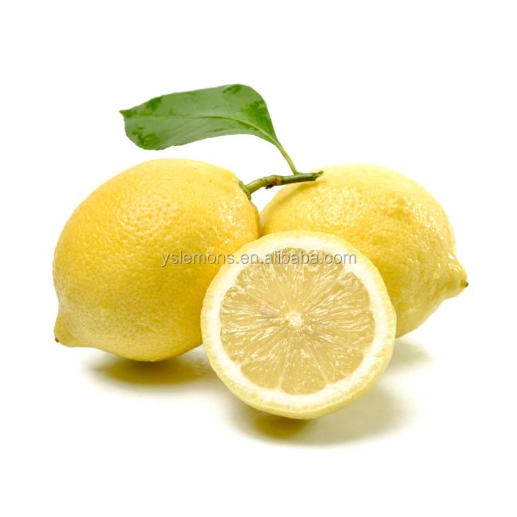 Wholesale Fresh Fruits Lemon Competitive Price Delivery Singapore From Lemon Farmer Supplier