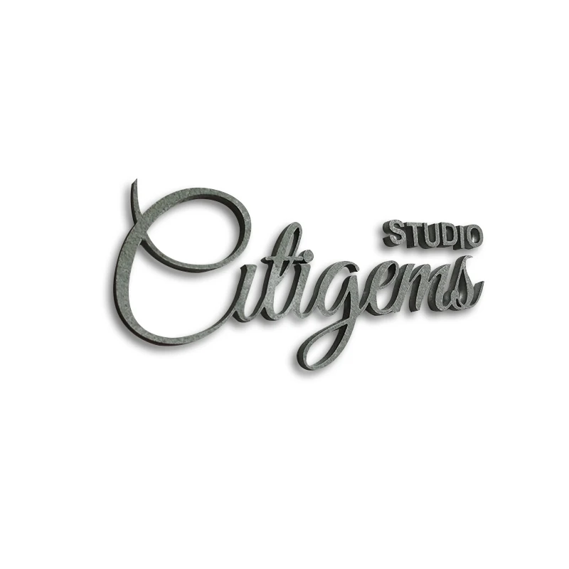 Custom Frosted Acrylic Letters Signs Use for Commercial Signage Company Background Wall Characters Logo Signboard