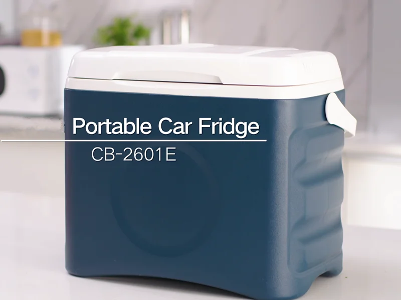 Factory customization OEM or ODM 18L 12V Mini Car Refrigerator Mini Fridge Portable