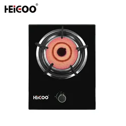 multi induction cooker