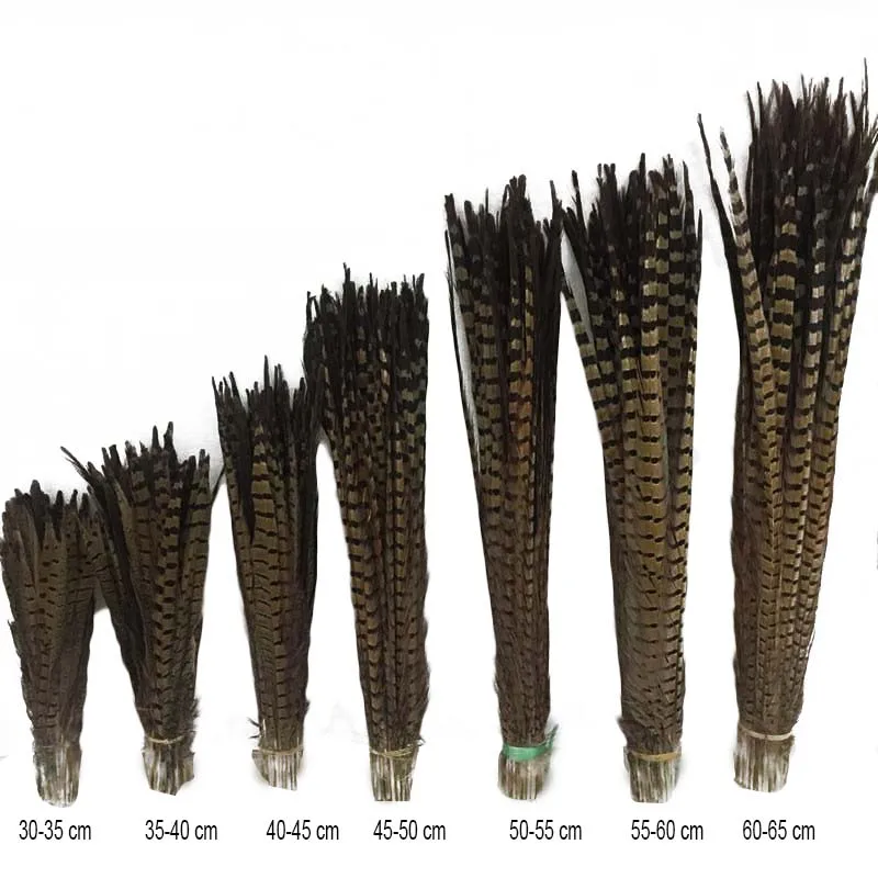 Wholesale Natural Plumas Ringneck Pheasant Tail Feathers Pluma de Faisan