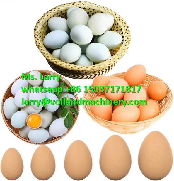 duck egg sorter machine/10000pcs per hour egg grader classifier/electronic egg sorting machine