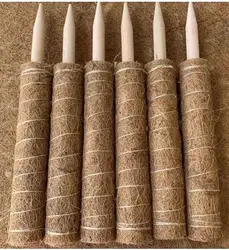 Hot Selling Self Watering Moss Pole 12/16/20 Inches Coir Totem Pole Plant Support Coir Poles for Creeper