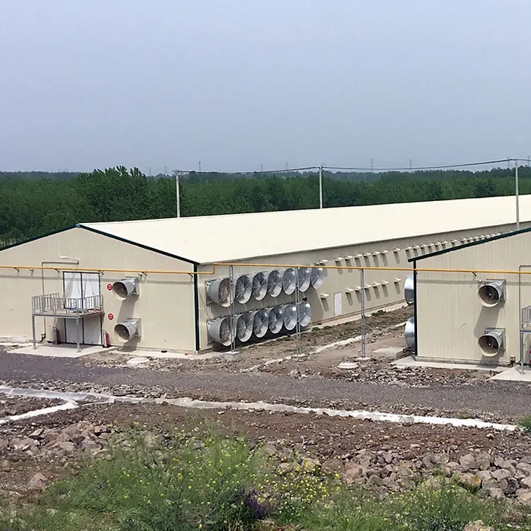 Light steel prefab poultry barns poultry slaughter house galvanized