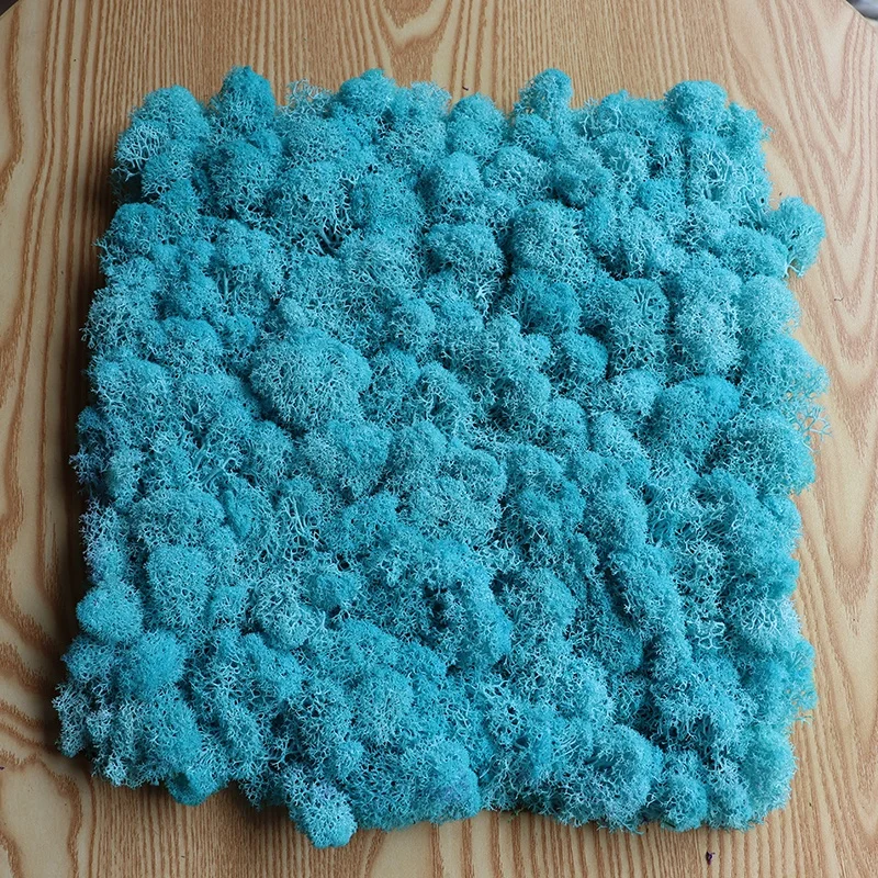 factory wholesale natural preserved reindeer flat moss panel for wall decoration