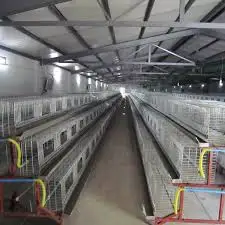 chicken farm construction / Thailand chicken farm