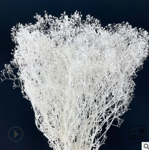 Оптовая продажа настоящие свежие и вечные консервированные цветы Babysbreath миллион