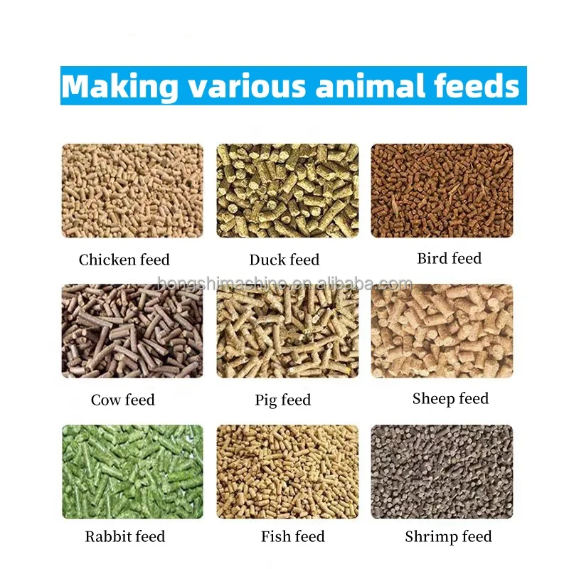 Small Tilapia Feed Pellet Making Machine Various Fish Feed Equipment Animal Feed Pellet Machine