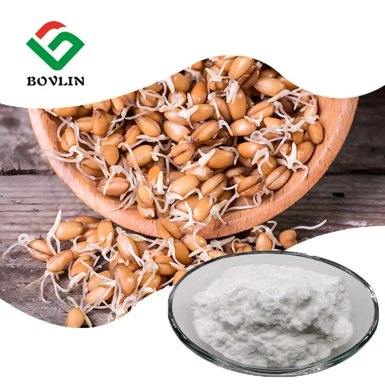 CAS 124-20-9 High Quality Wheat Germ Extract 1% 99% Spermidine Powder