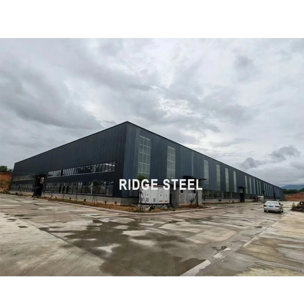 Steel Frame Building Construction Dome Space Roof Structures With Cages