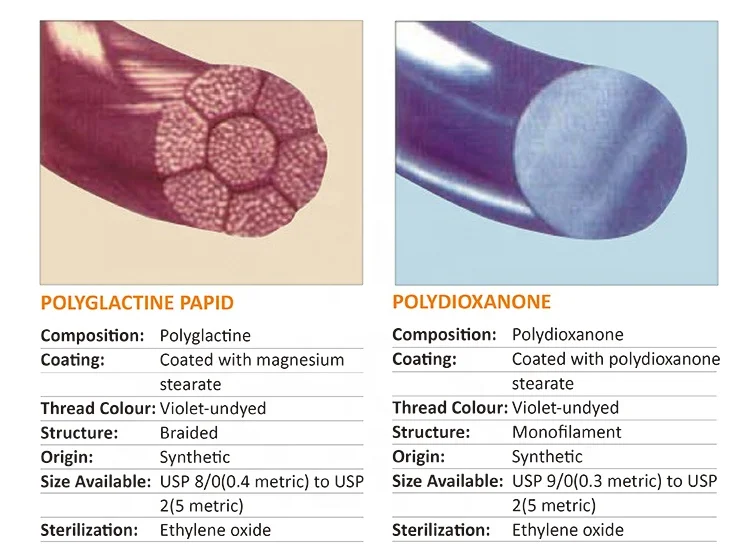 Polydioxanone Surgical Suture Needles With Thread Absorbable Surgical PGLA Suture Prices Polylactic Acid Surgical Suture PGA
