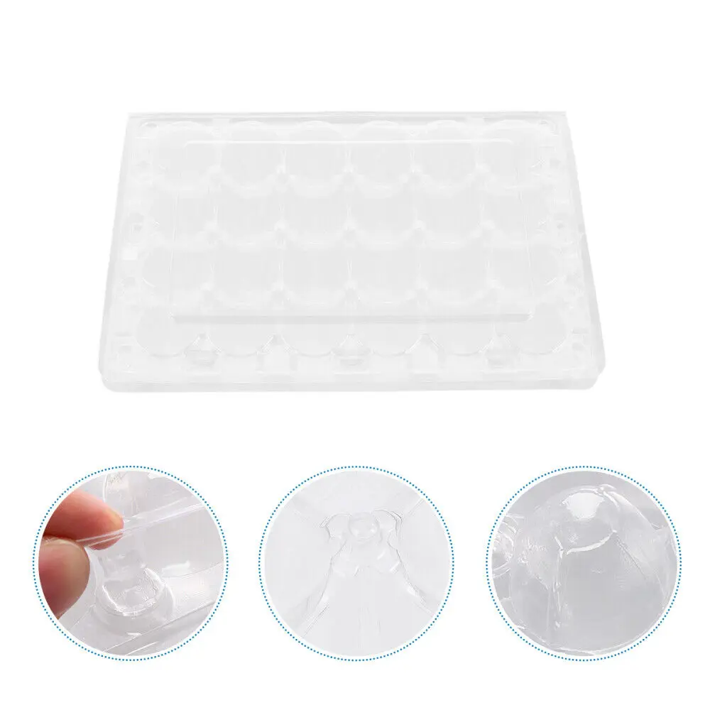 PET Plastic Jumbo Quail Egg Tray Packing Blister 12 18 30 Holes Supplier Vacuum Formed Quail Eggs Tray Boxes