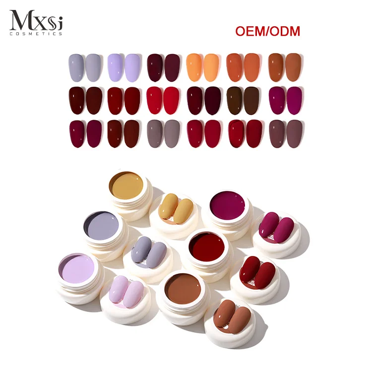 AS Solid Japanese Style Gel Polish Set Gift Box Nail Painting Gel Canned 5g Jar OEM Custom Logo Uv Soak Off Gel Polish for Nails