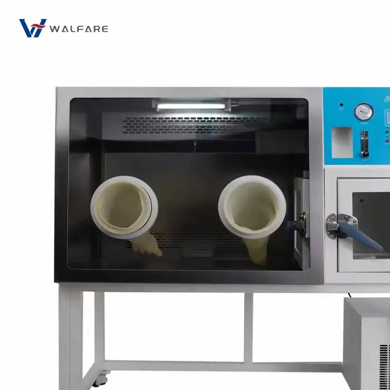 anaerobic incubator  provide an oxygen-free environment quality customizable laboratory equipment good product quality