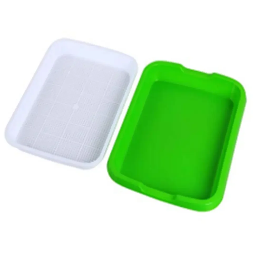 Home Garden Wheat Seedlings Nursery Pots Growing Planting Dishes Double Peanut Bud Sprouts Plate Seedling Tray