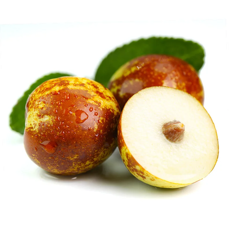 
Fresh prices discount Chinese certified dates and jujube 