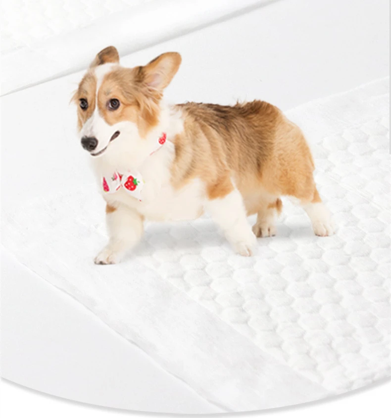 Pet Urine Pad Disposable Dog Care Diaper Mat Pet Changing Pad Cat Diaper Pet Training Pee Pad