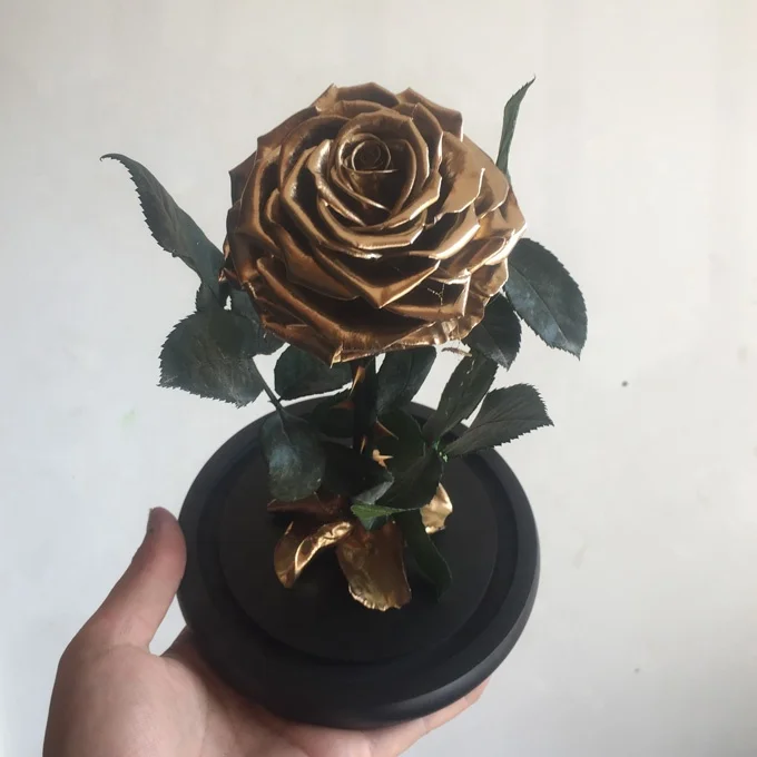 
natural preserved real rose in glass dome as gifts for valentine day 