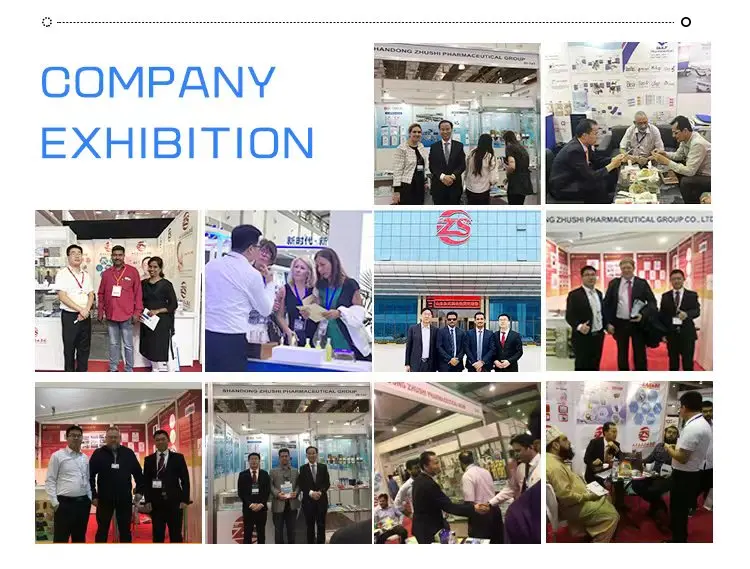 ZHUSHI China Manufacturer Diabetes Foot Patch Ginger Organic Detox Feet Cleansing Ginger Foot Detox Pads