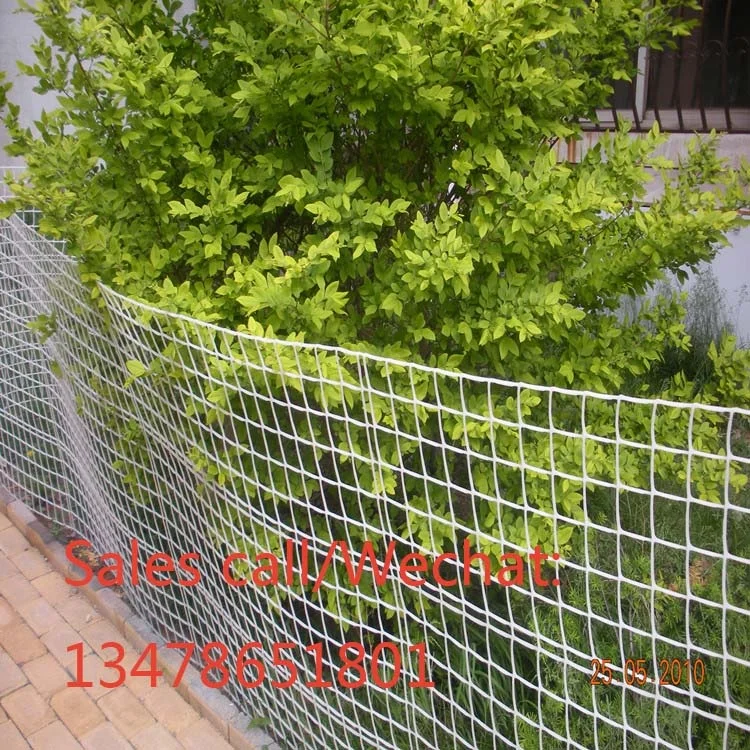 DSY-FGW пластиковой квадратной сетки делая машину