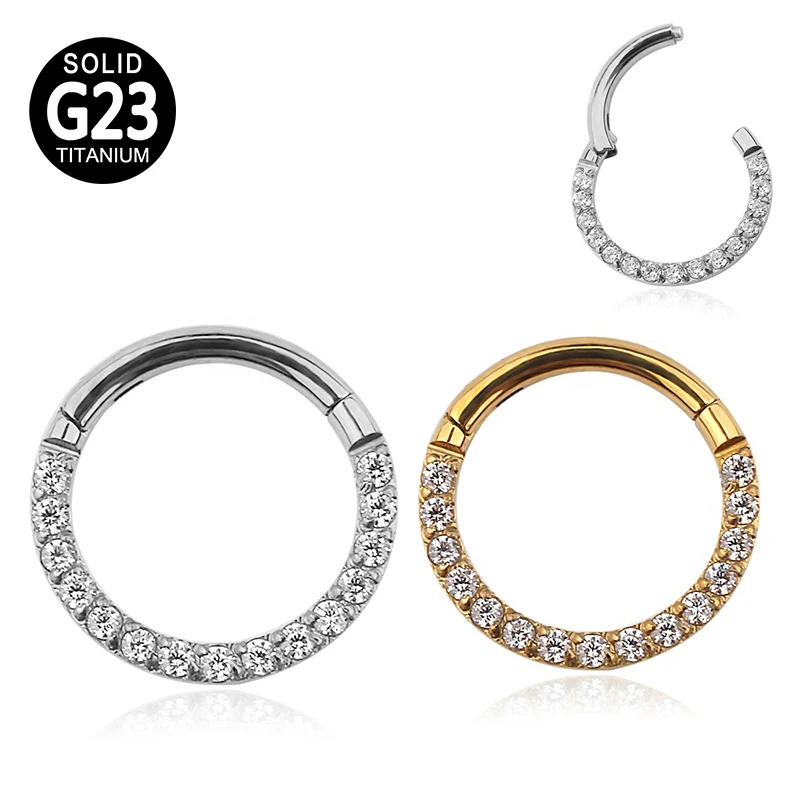 ASTM F136 Titanium Nose Rings Hinged Segment Rings Earrings Piercing Body Jewelry for Woman Man