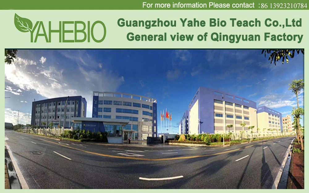 New factory with logo