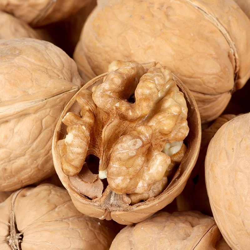 Грецкие орехи цена поставщика 1 кг грецкие орехи цена Inshell самая большая цена грецких орехов