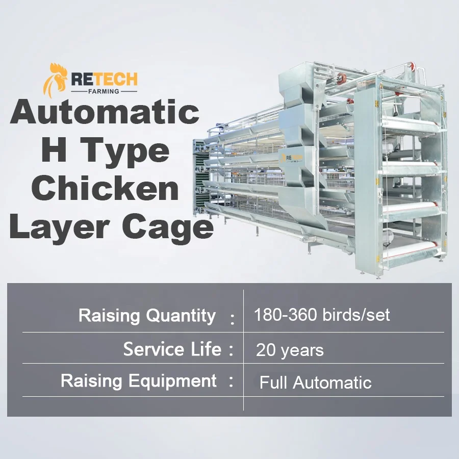 Poultry Farming Equipment 4 Tier A Type Fully Automatic Battery Layer Chicken Cage for Egg Hens