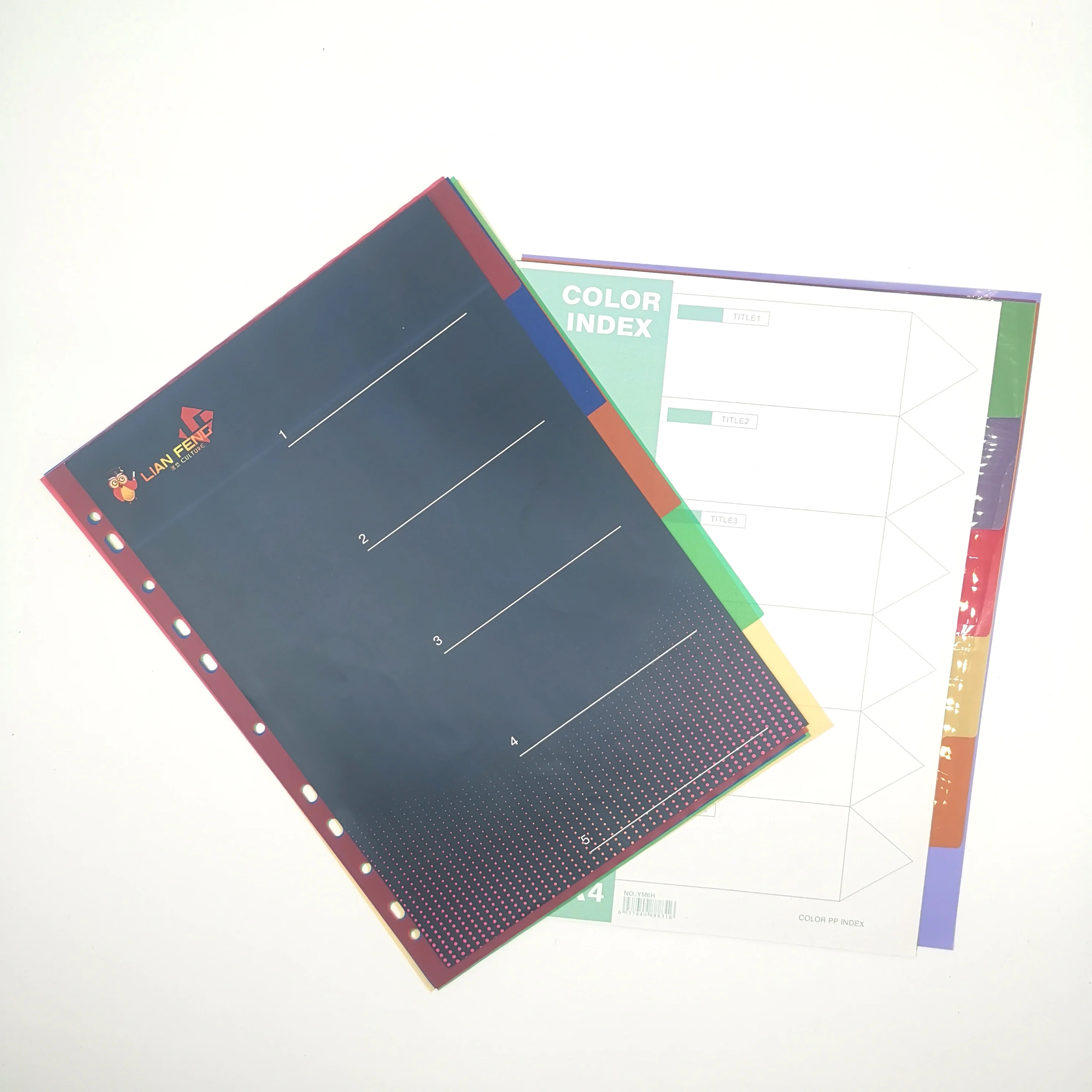 
profession factory production colored PP plastic 5-hole Index Tag Divider Sticker Ruled Notes binding holes index pages 