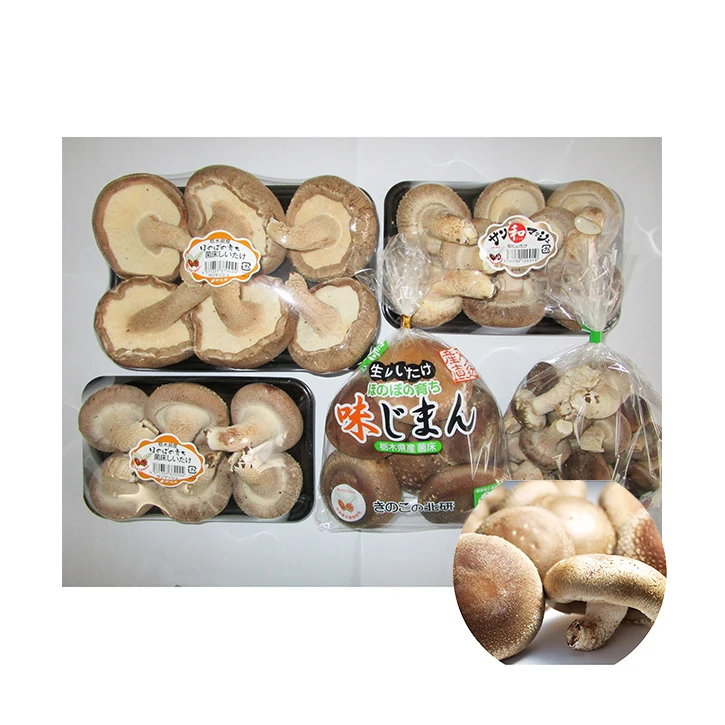Plump juicy specialized popular button fresh mushroom for sale