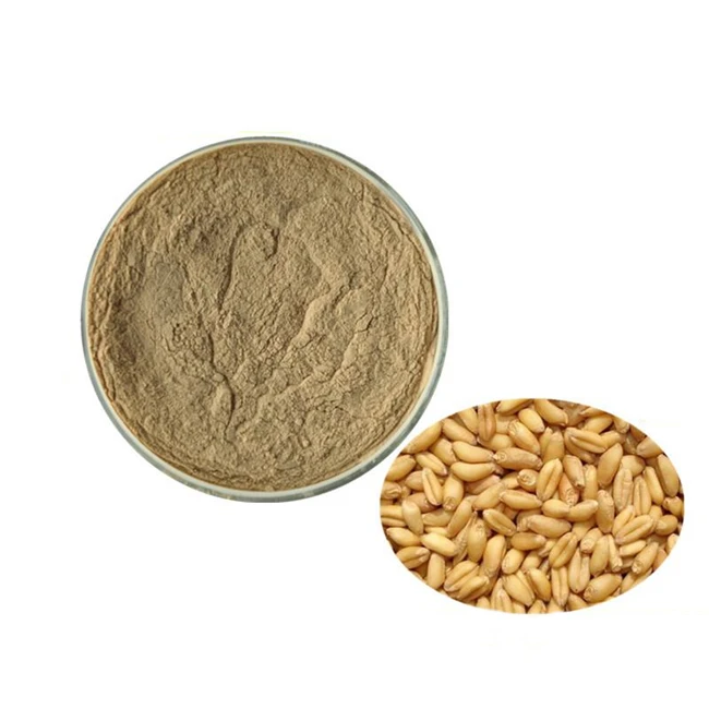 High Quality Malt Extract Food Grade Powder