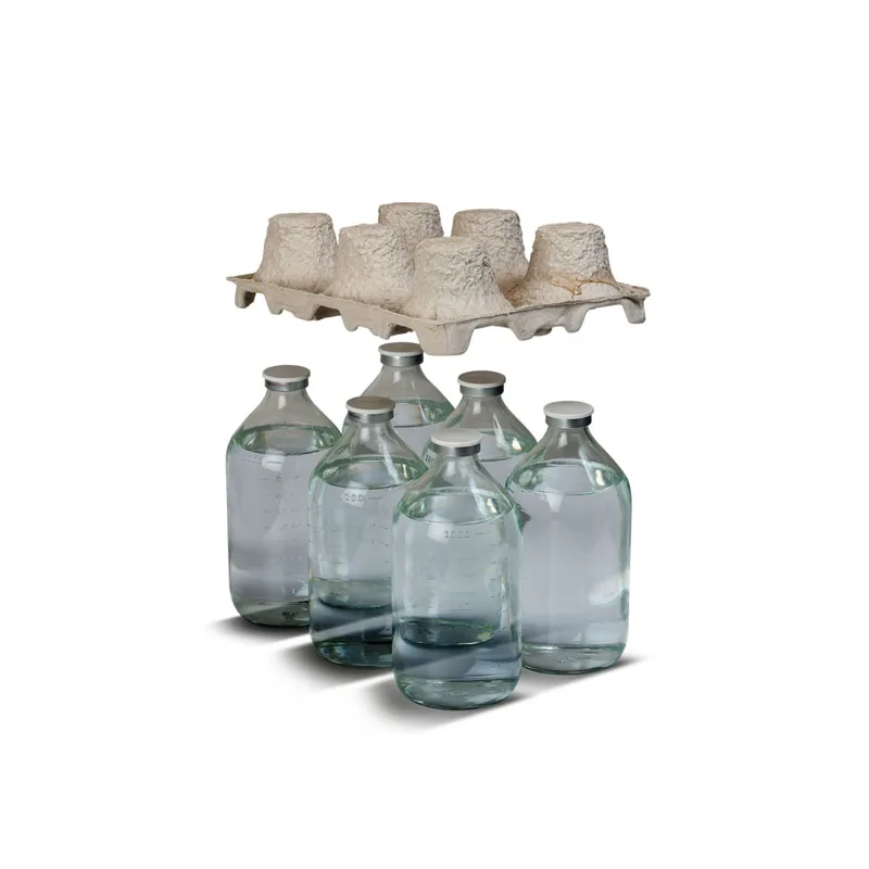 Top Quality 100% Eco-friendly Recyclable Biodegradable Protective Customized Chemical Pulp Tray