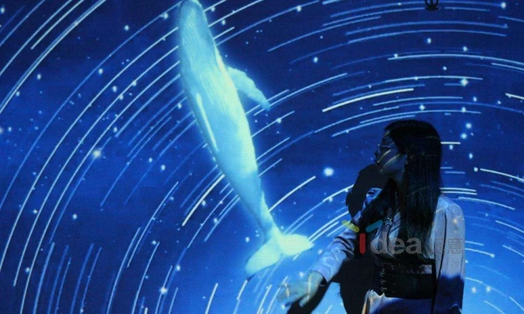 Low price 3d interactive floor projection games for amusement park equipment interactive projector floor