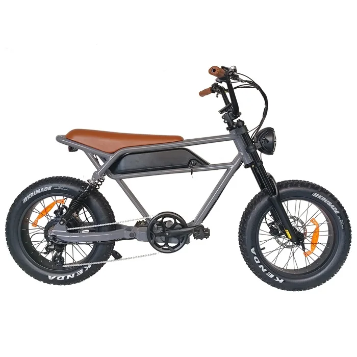 20 Inch super cruiser  Fat Tire Retro  Electric Bike for adult