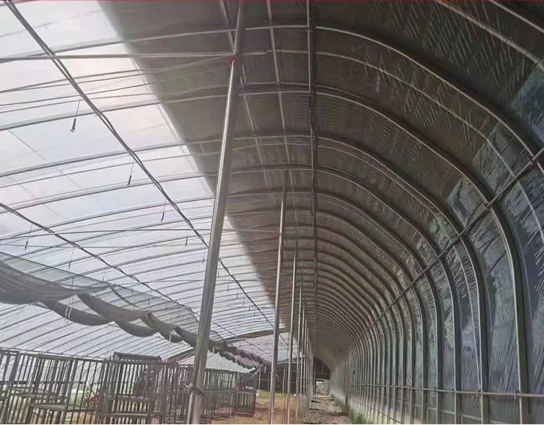 Manufacturer customized oval tube winter warm greenhouse seedling greenhouse flower greenhouse